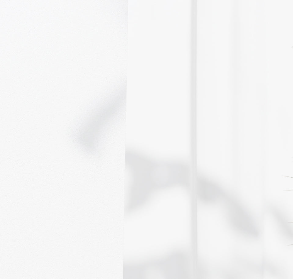 Solid light gray color swatch