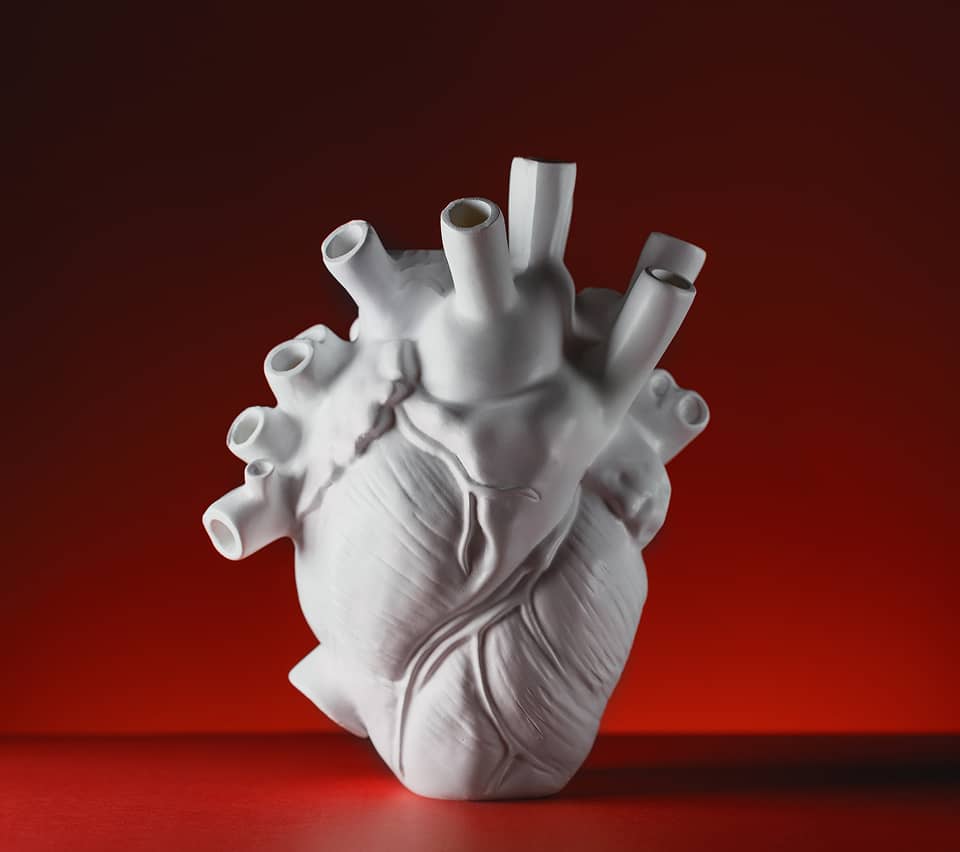 White ceramic heart-shaped vase on a red background