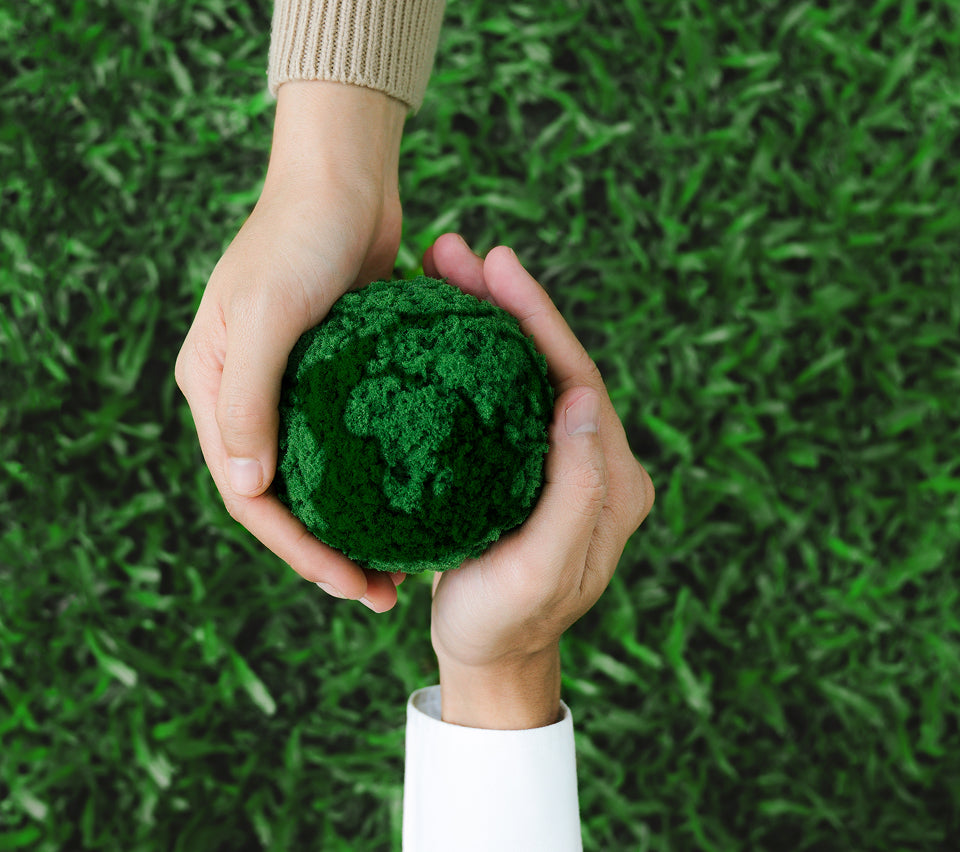 Two hands holding a green ball against a grassy background