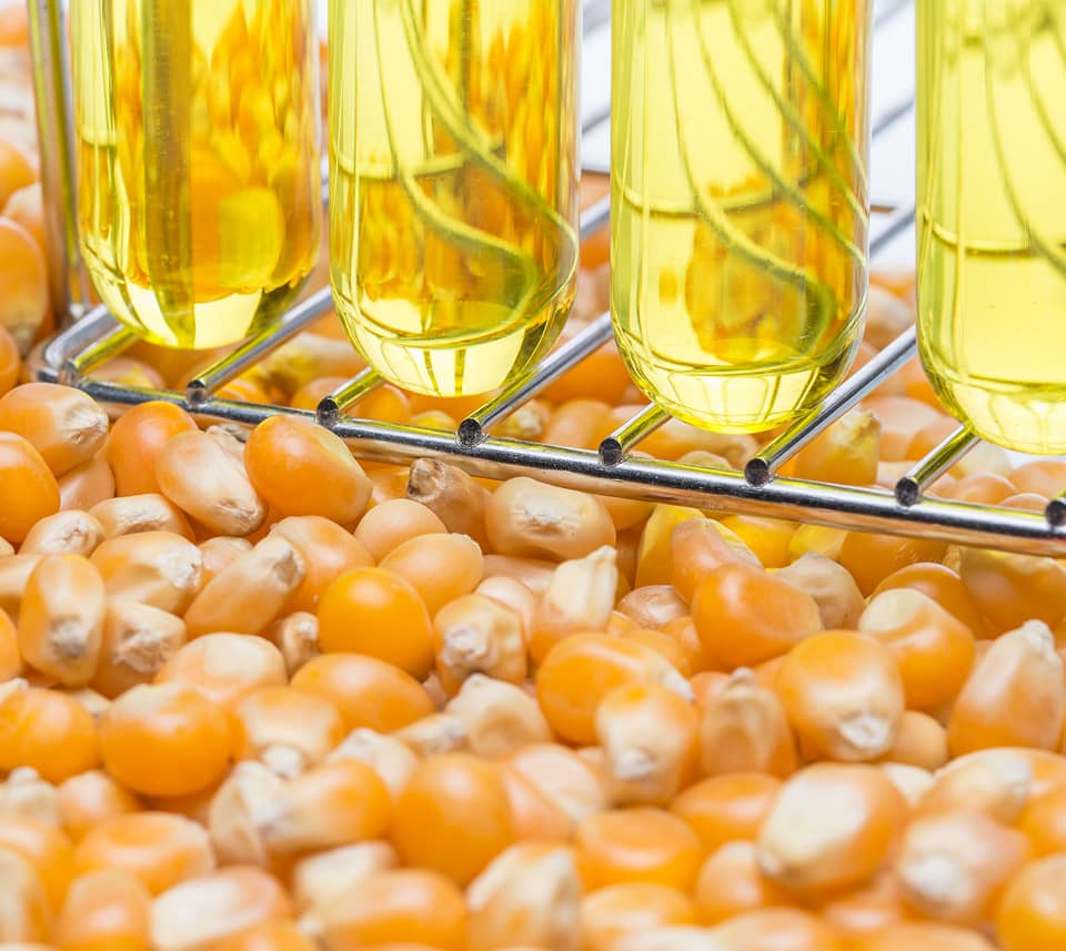 Corn kernels with oil extraction equipment in the background